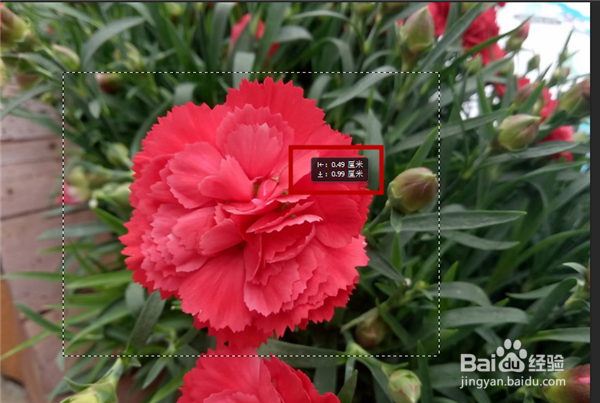 Photoshop选区工具怎么用？PS怎么使用选区工具