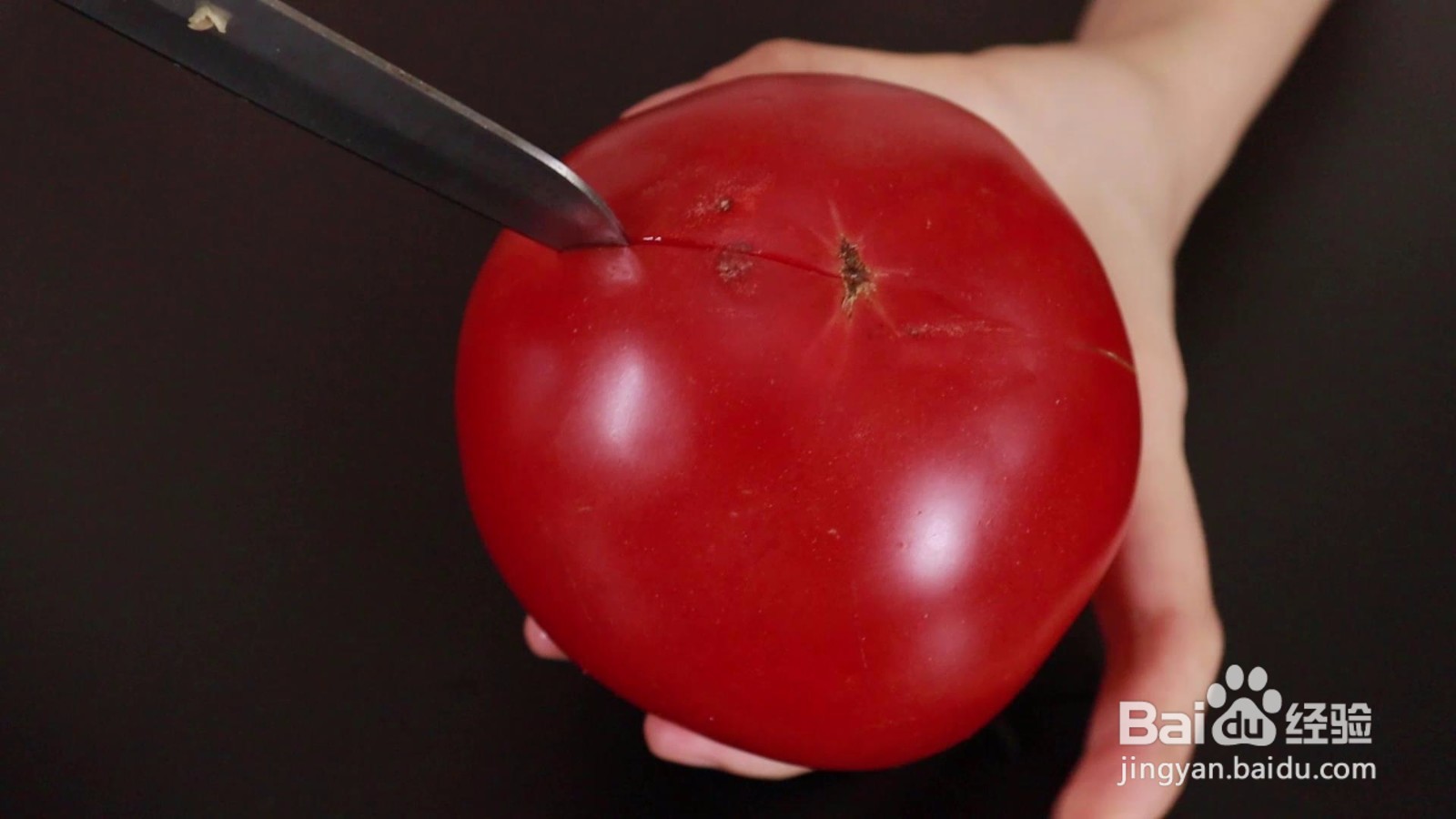 怎么给番茄剥皮？三种方法简单方便#招募令2.0#
