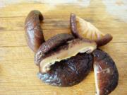 番茄香菇牛肉面