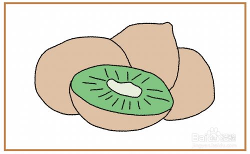 猕猴桃怎么简笔画