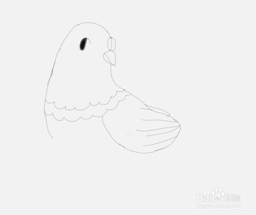 如何教儿童画简笔画鸽子