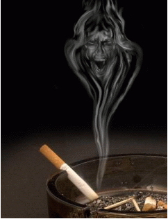 准爸爸营养宝典