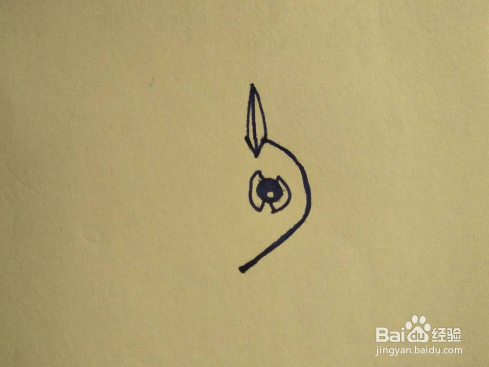 小鸟的简笔画怎么画？