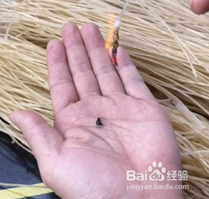 如何辨别真假红薯粉