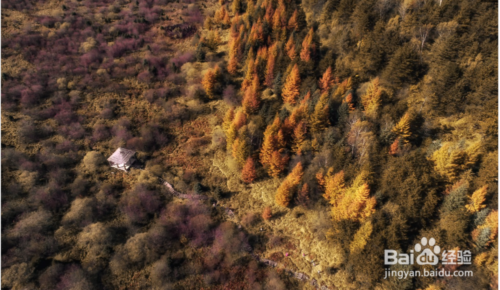 秦岭一半的美都在这里,11月这里堪称最美公路。