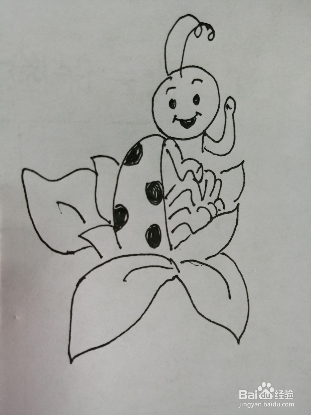 可爱的小瓢虫怎么画