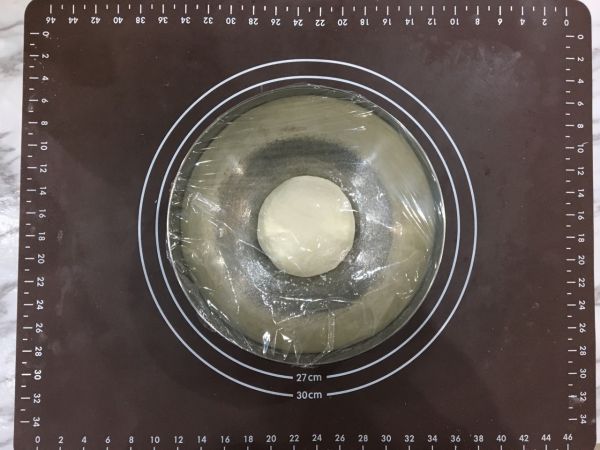 意式番茄金枪鱼披萨