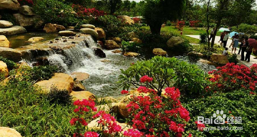 海珠湿地公园十一旅游攻略