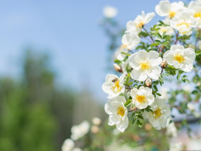 要懂得换位思考的名言有哪些