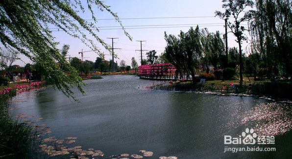 考大学怎么选专业