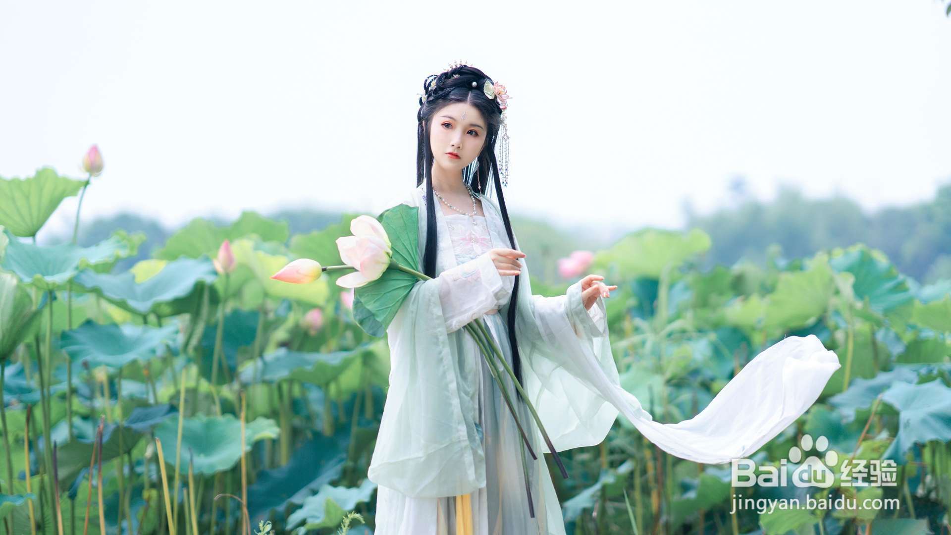 美容食物大盘点