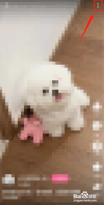 哔哩哔哩短视频在哪里看字幕
