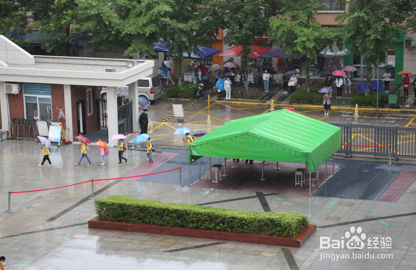 夏季来临，小学生如何科学佩戴口罩？