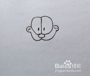 简笔画：加菲猫头像