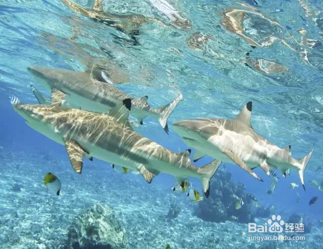 月薪 3000,也能到这个性价比超高的境外地旅行