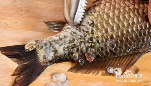 八宝鱼怎么处理鱼鳞