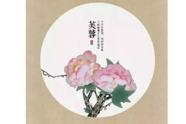 象征十二月的词是什么