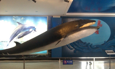 我的山东旅游游记：[1]青岛发现之旅