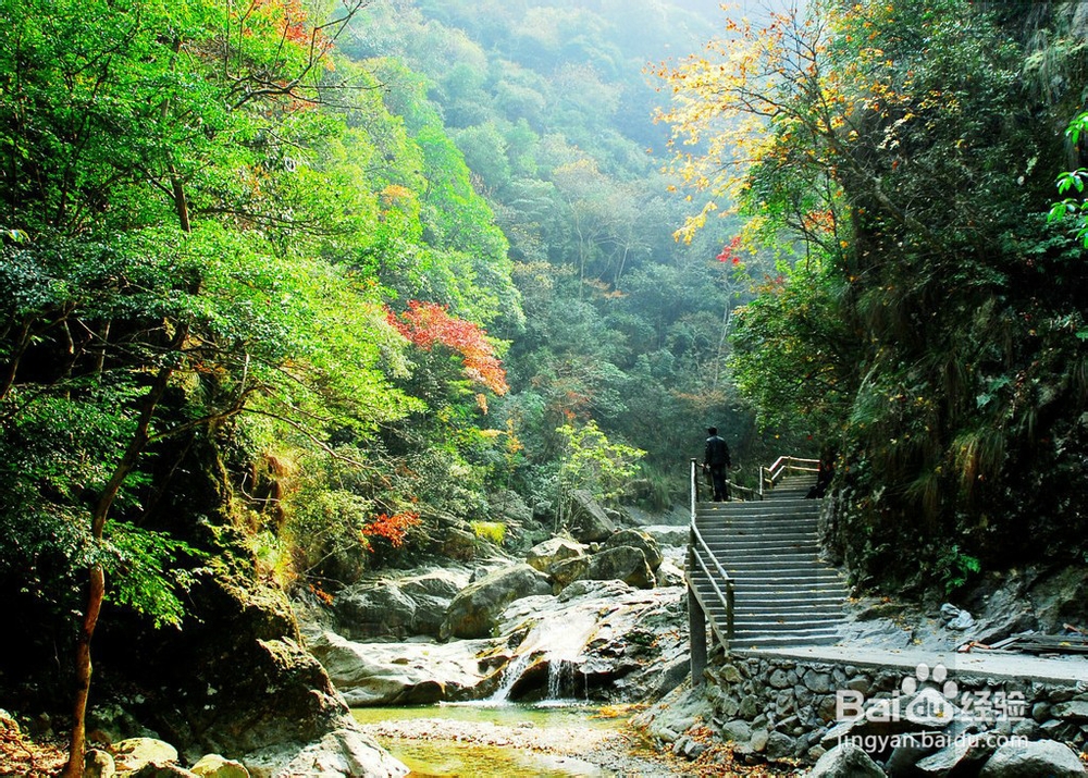 张家界稻草人汽车旅馆《更新版攻略》