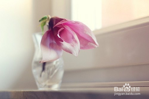 得了便秘怎么办