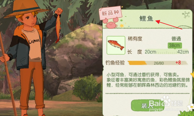 小森生活怎样钓鲤鱼