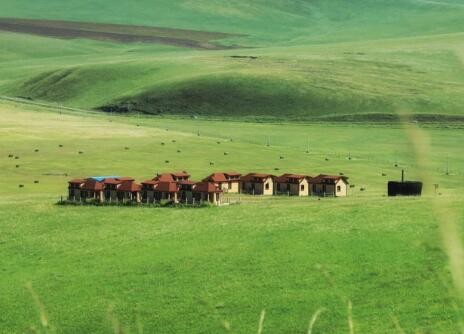 笼盖四ya还是笼盖四ye