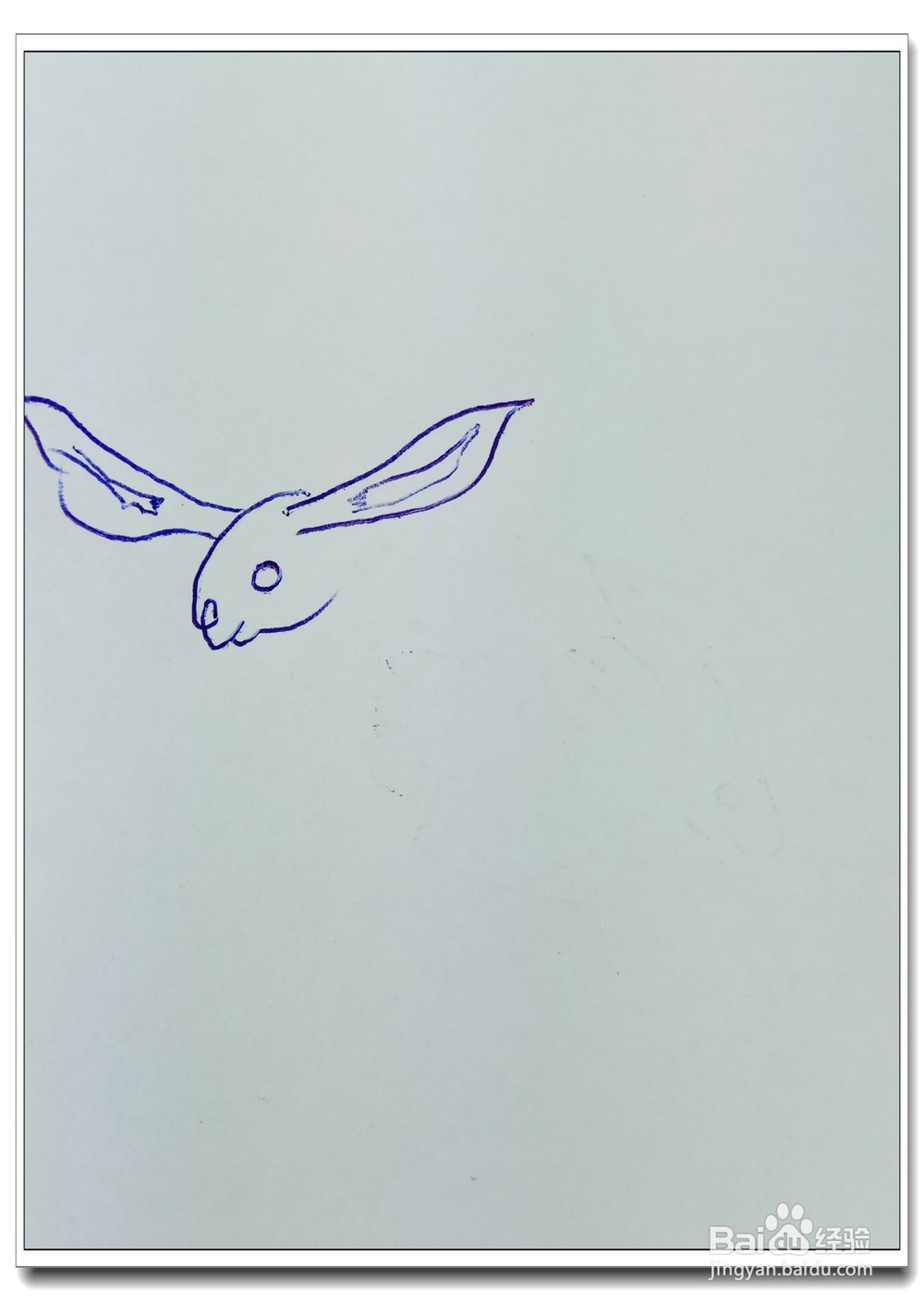 怎样画简笔画“可爱的小白兔”?