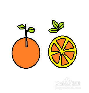 5个橘子简笔画图片