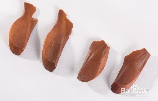 向天果怎么吃是正确的用法