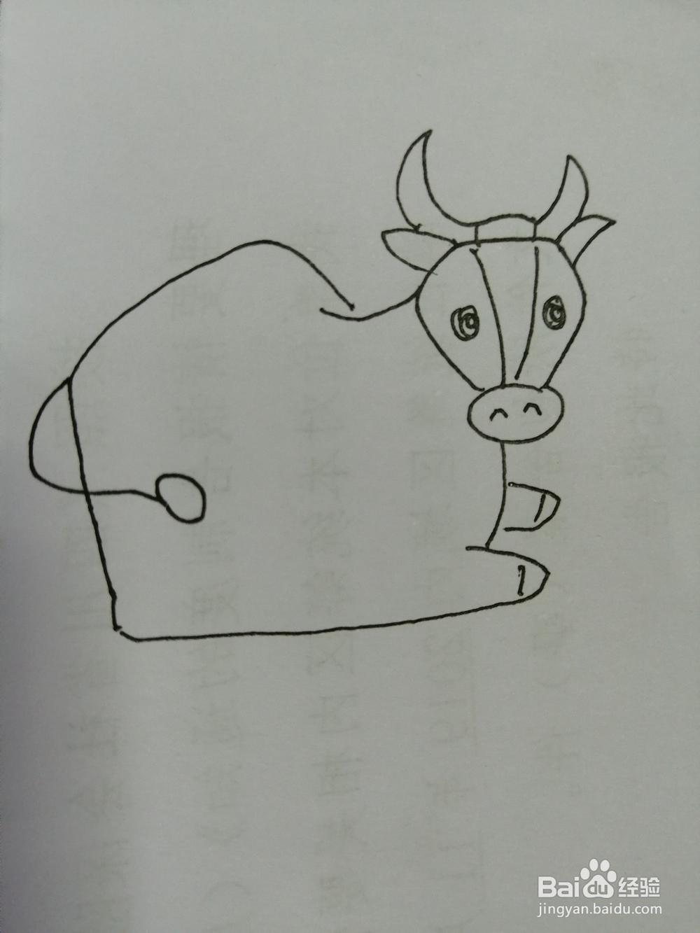 简笔画水牛怎么画