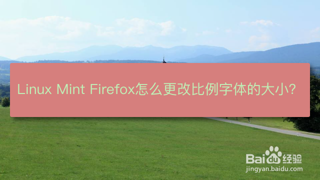 <b>Linux Mint Firefox怎么更改比例字体的大小</b>