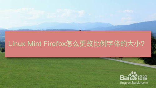 Linux Mint Firefox怎么更改比例字体的大小？