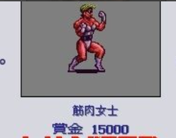 重装机兵2重制版赏金首攻略