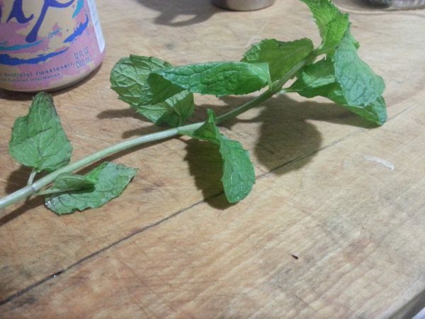 薄荷青橘蜜苏打水