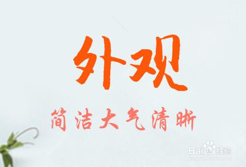 如何优化网站排名