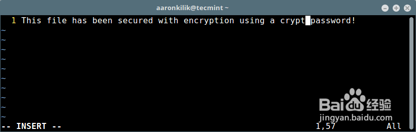 S：使用 Vim 给文件设置密码保护