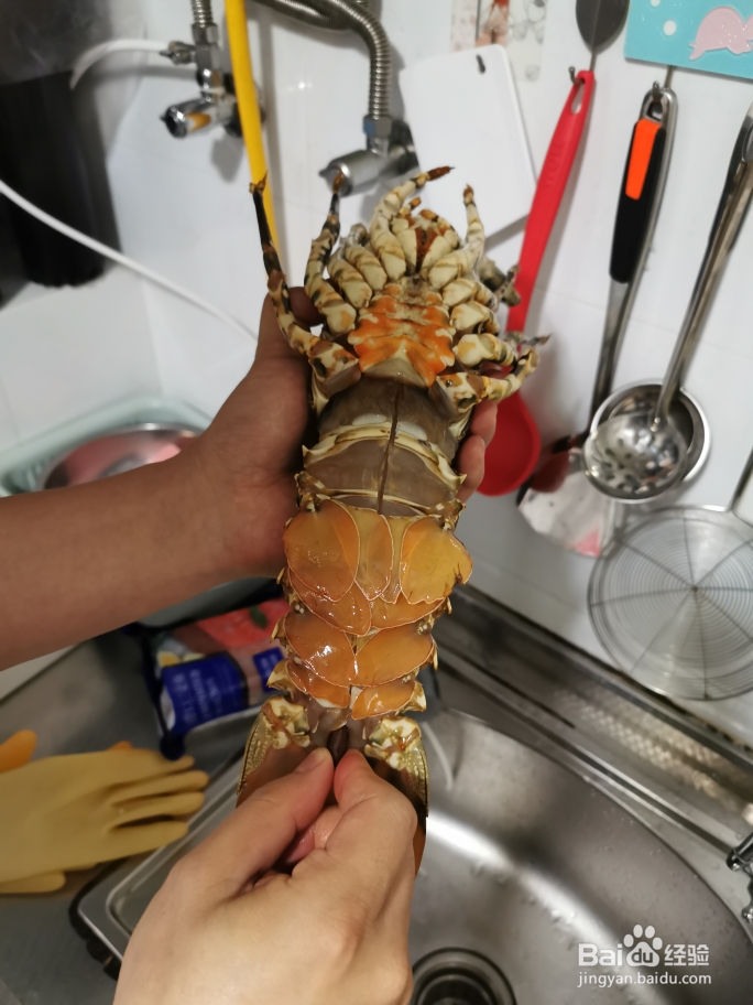 详细教你做葱姜澳洲龙虾