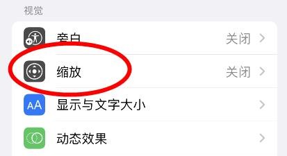苹果键盘快捷方式中的调整放大级别如何关闭