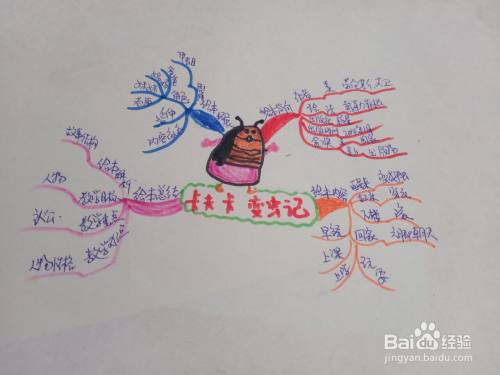 卡夫卡变虫记思维导图怎么画