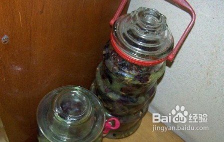 山葡萄酒的制作方法