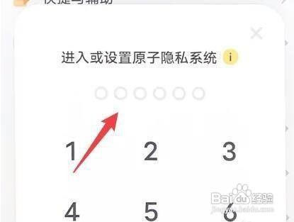 vivoS12手机如何关闭原子隐私系统呢