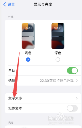 苹果手机怎么放大字体
