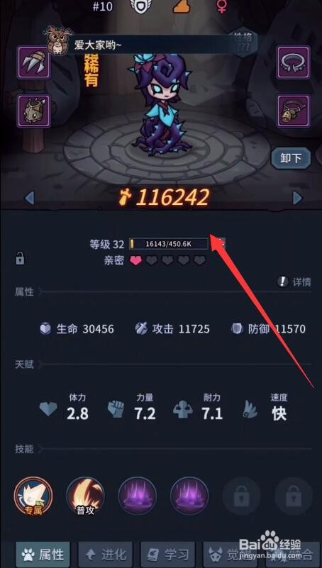 提灯与地下城宠物羁绊怎么弄