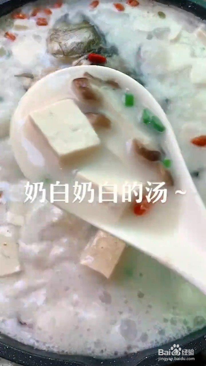 如何制作鲫鱼奶白汤
