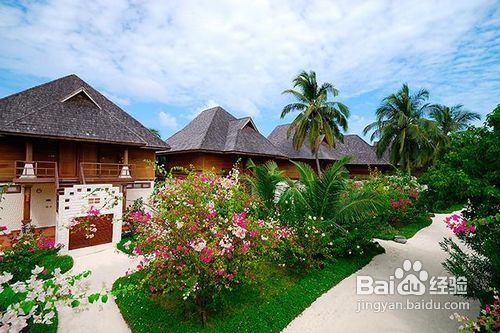 马尔代夫双鱼岛旅游攻略