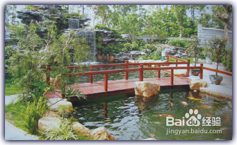 锦鲤饲料常见四大水质问题及解决之道