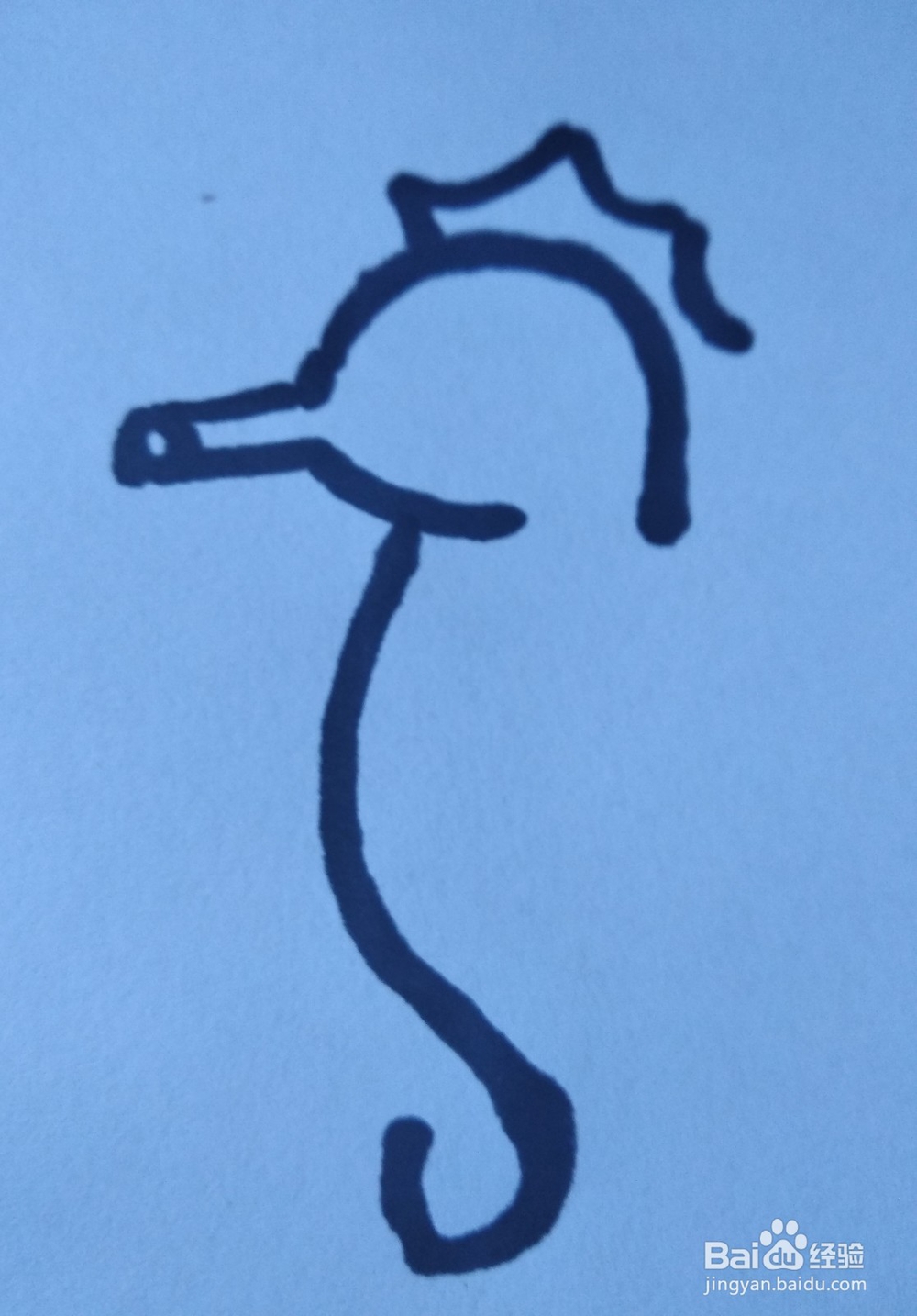 动物简笔画之海马简笔画怎么画