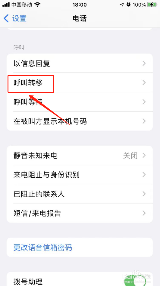苹果手机呼叫转移在哪里取消