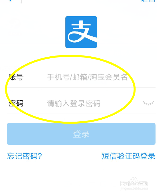 怎么查看芝麻信用