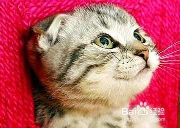 当女朋友生气了怎么办，